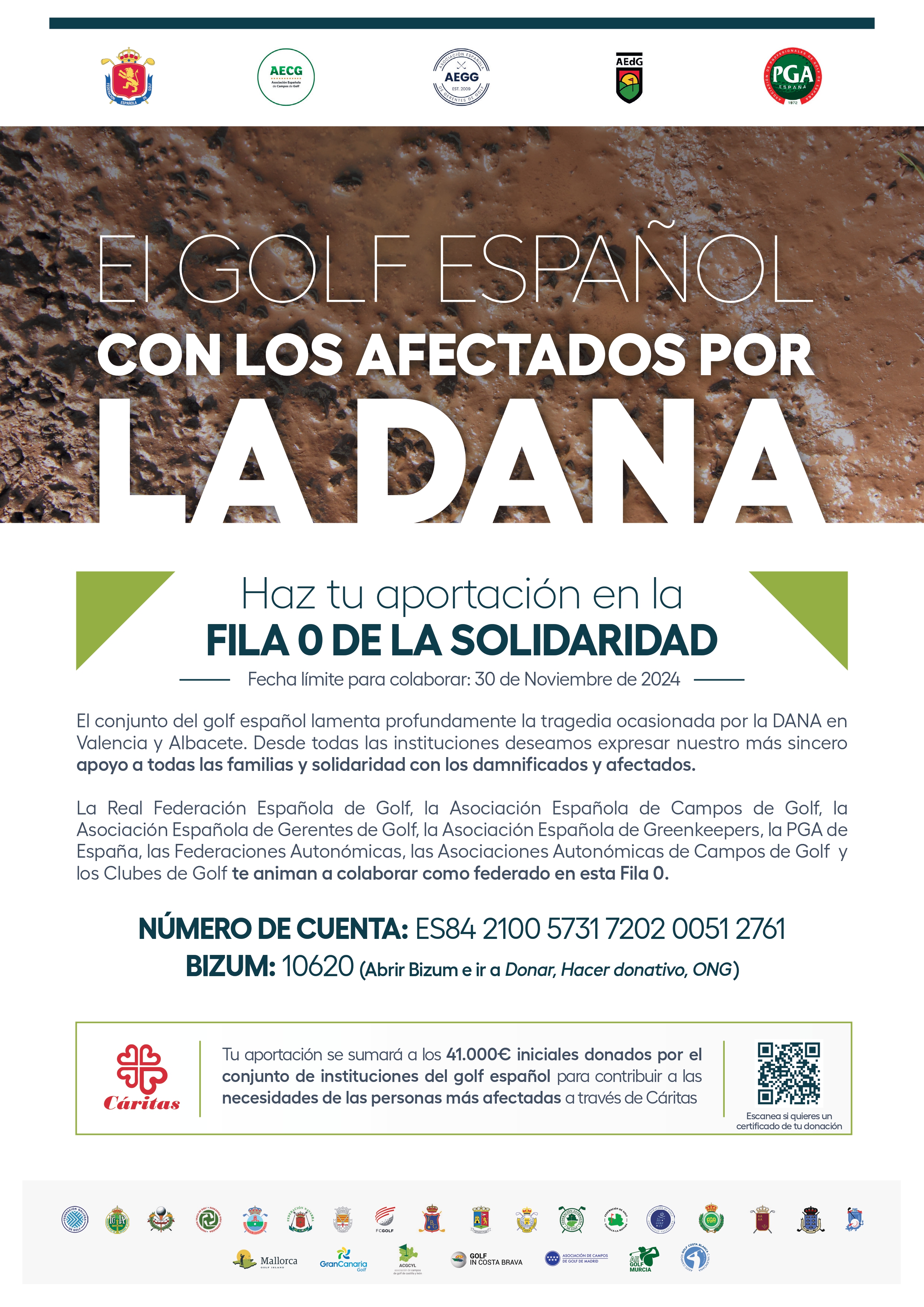 poster dana